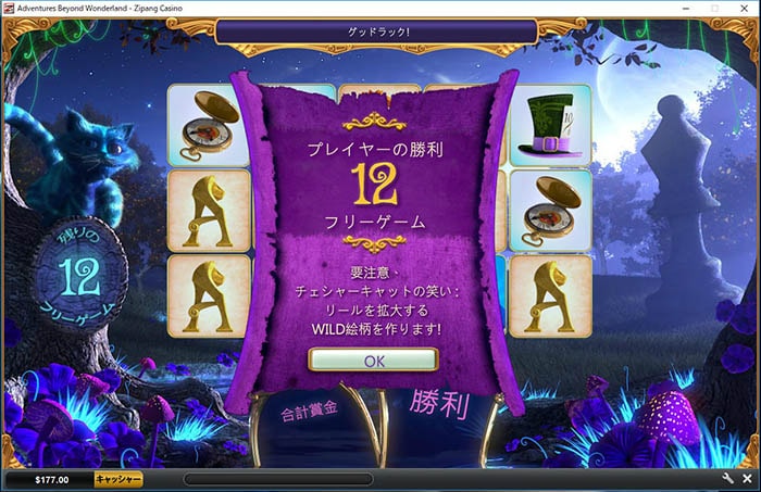 フリーゲーム12回を獲得 フリーゲーム12回を獲得