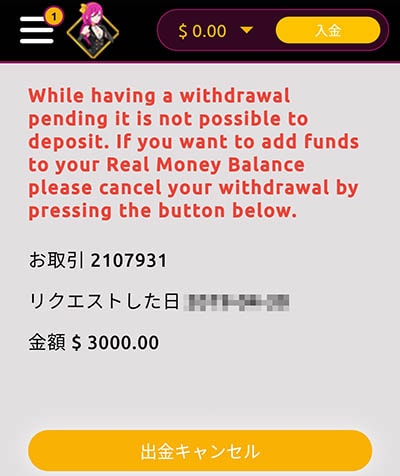 3,000ドル引き出し 3,000ドル引き出し