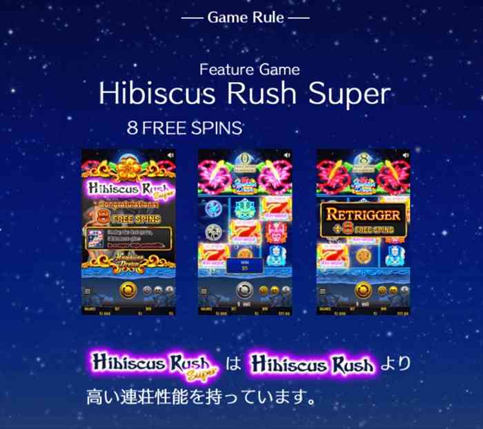 ハイビスカスラッシュスーパー ハイビスカスラッシュスーパー