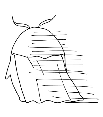 悲しみのグリ将軍 悲しみのグリ将軍