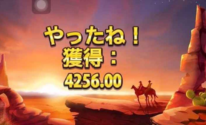 獲得金額 獲得金額