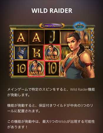 WILD RAIDER WILD RAIDER