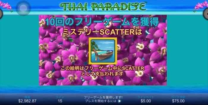 カヌーがミステリースキャッターに カヌーがミステリースキャッターに
