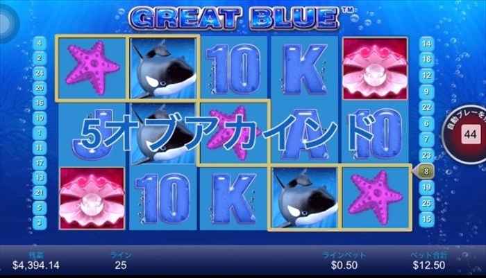 ヒトデの5オブアカインド! ヒトデの5オブアカインド!