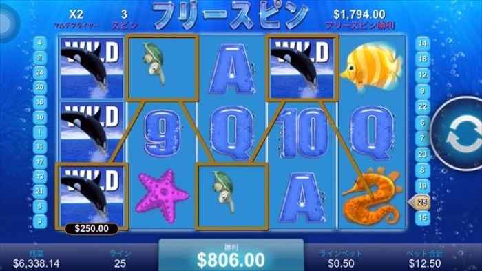 シャチ絡み亀×4で$806 シャチ絡み亀×4で$806