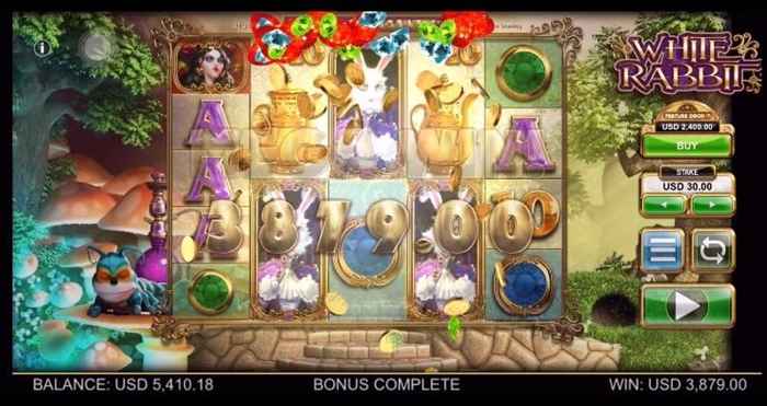 合計獲得額$3,879げっとん! 合計獲得額$3,879げっとん!