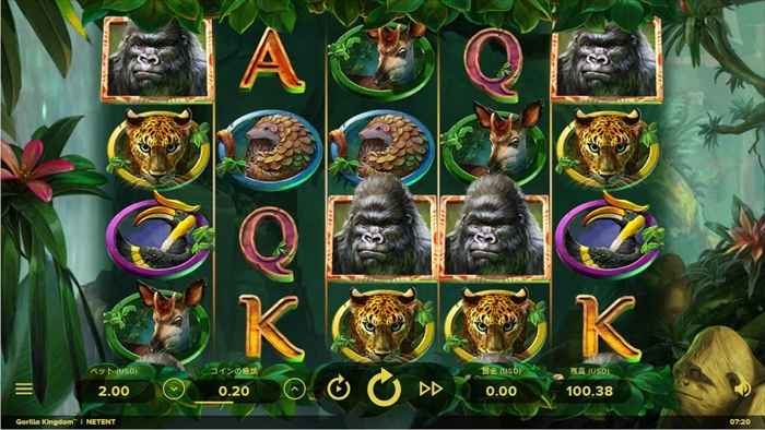 『GORILLA KINGDOM』 『GORILLA KINGDOM』
