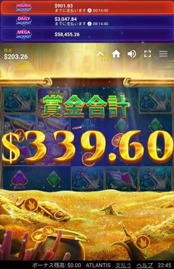 結果は$339! 結果は$339!