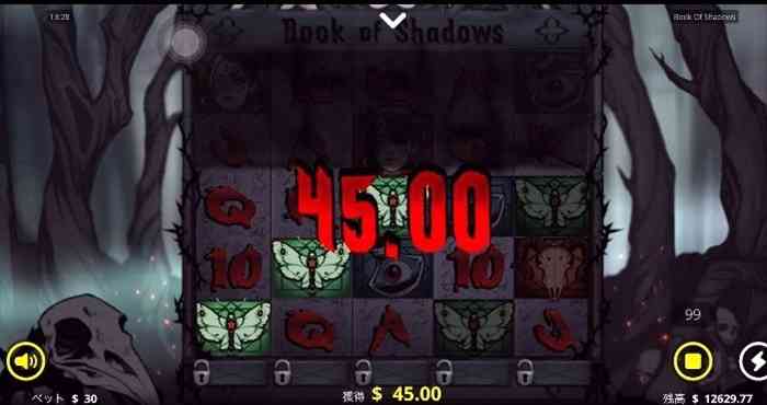 悪魔的スロットだわな 初打ちのBOOK OF SHADOWSゲーム画面
