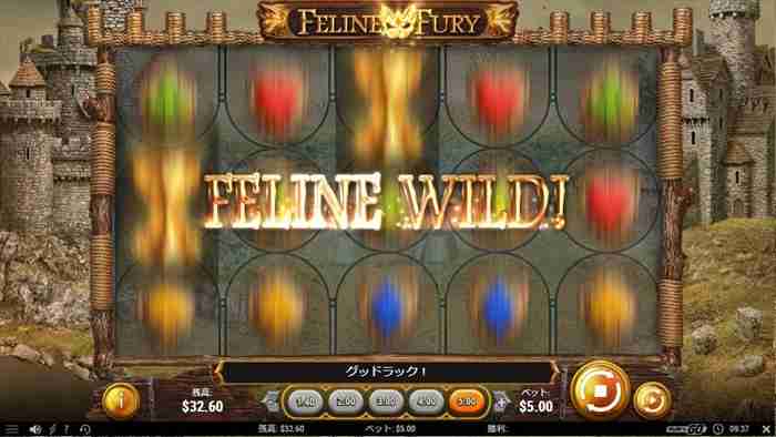 Feline Wildを引いた! リール回転中にFeline Wildポップアップ画面
