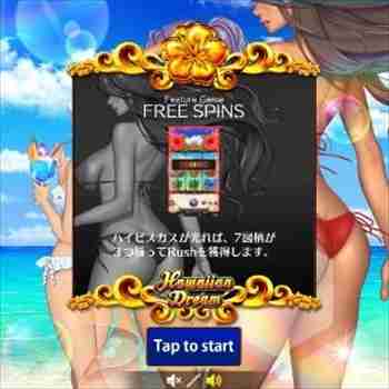 毎度おなじみハワイアンドリーム ハワイアンドリームゲーム画面