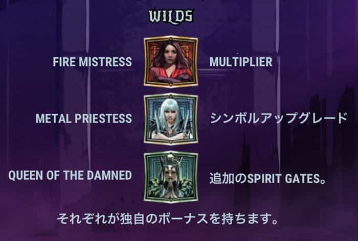 WILDシンボル説明 WILDシンボルの説明