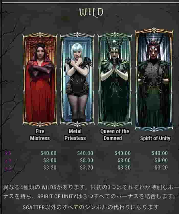 WILDシンボル説明 WILDシンボルの説明