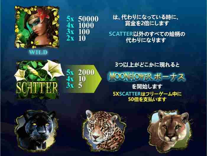 アマゾネス姉ちゃんシンボルはワイルドで賞金2倍 ゲーム配当表画面その1