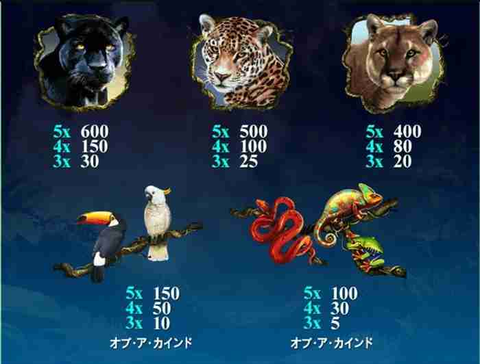 猫系は配当が高い ゲーム配当表画面その2
