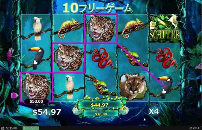 4倍状態でヒョウが3枚! 残りフリスピ10回画面、ヒョウ3枚で$50ドル配当