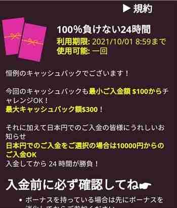 神プロモじゃねーか 100%キャッシュバックプロモの利用規約画面