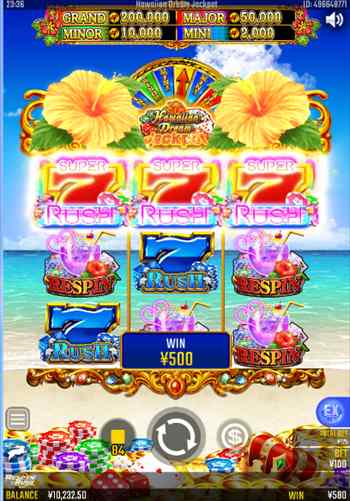 HibiscusRush Superを引けたぜ! HibiscusRush Super