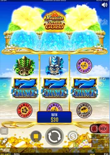 ハイビスカスチャンス挑戦権獲得! ハイビスカスチャンス挑戦権獲得!