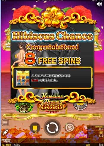 ハイビスカスラッシュの条件 ハイビスカスチャンス